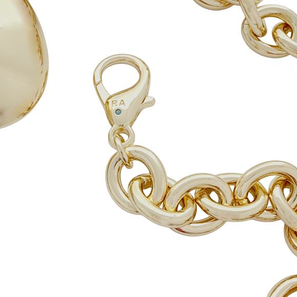 ROXANNE ASSOULIN The Cable Chain Belt in Gold main image 13